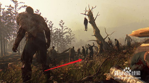 消逝的光芒电缆怎么获得