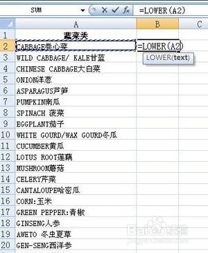 Excel表格中的英文怎样进行大小写转换