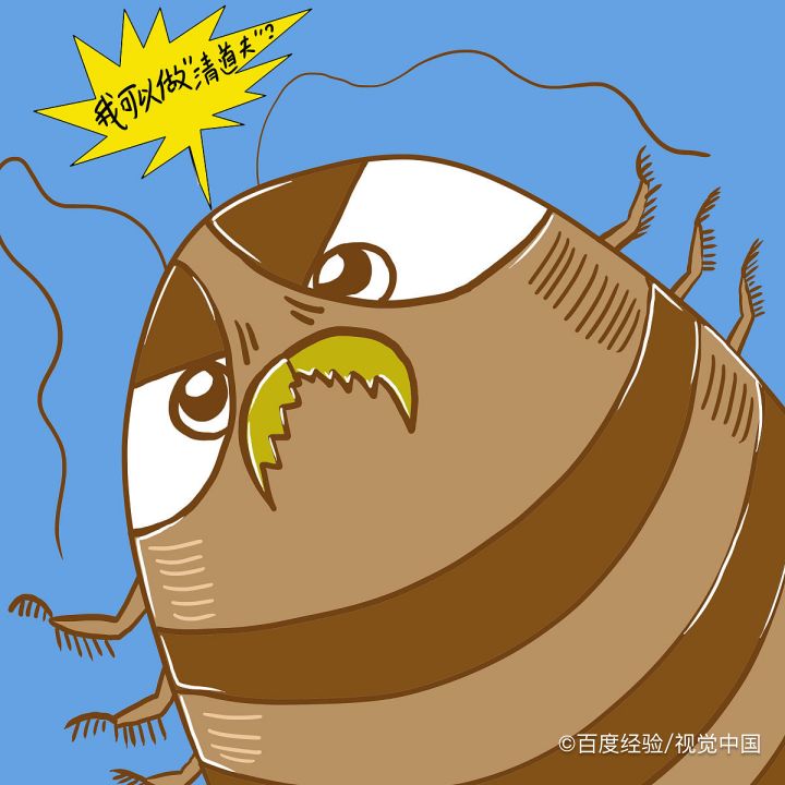 如何灭蟑螂最有效