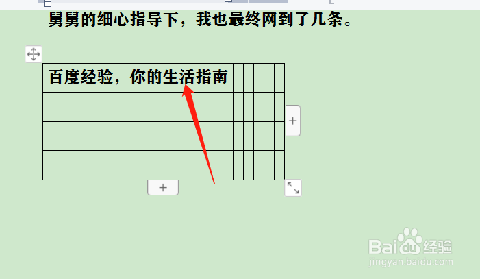 word设置表格列宽