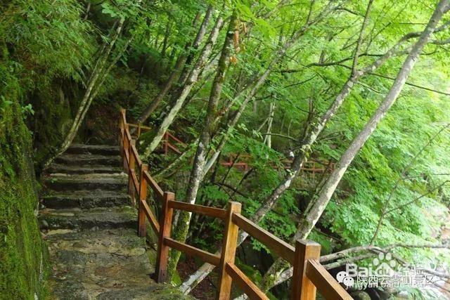 这才是云雾山游玩的正确方式