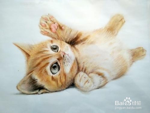 猫眼睛里进毛了怎么办