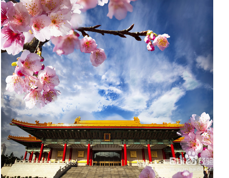 在国内旅游注意什么