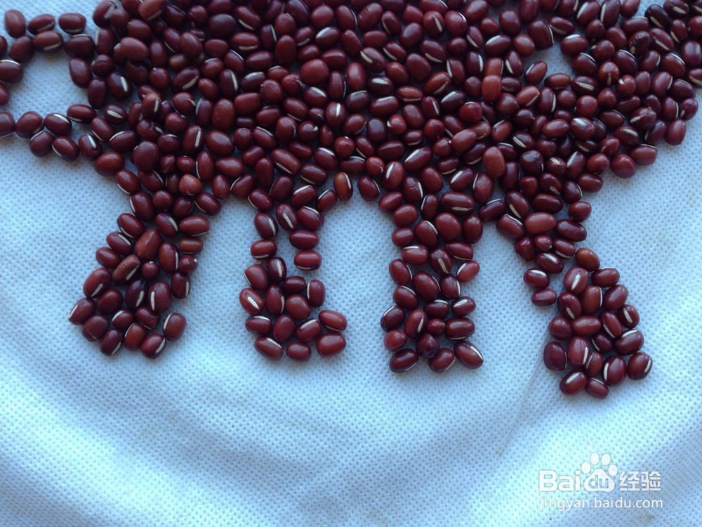 怎样画种子画--大象