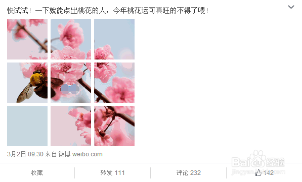 怎么写出一条高转发的图文微博?