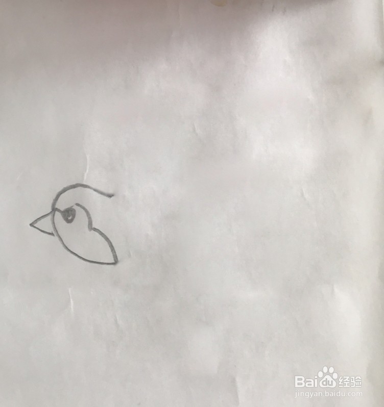 【简笔画】小燕子的分步画法