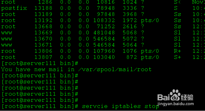 centos6 最完整安装php方法