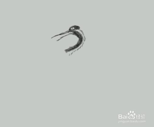 国画丹顶鹤怎么画