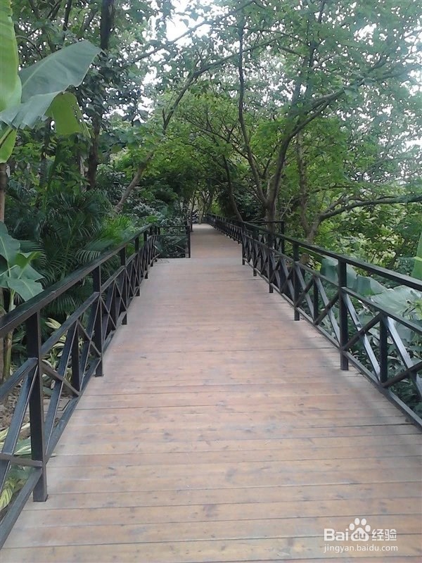 过年最适合情人约会的地方