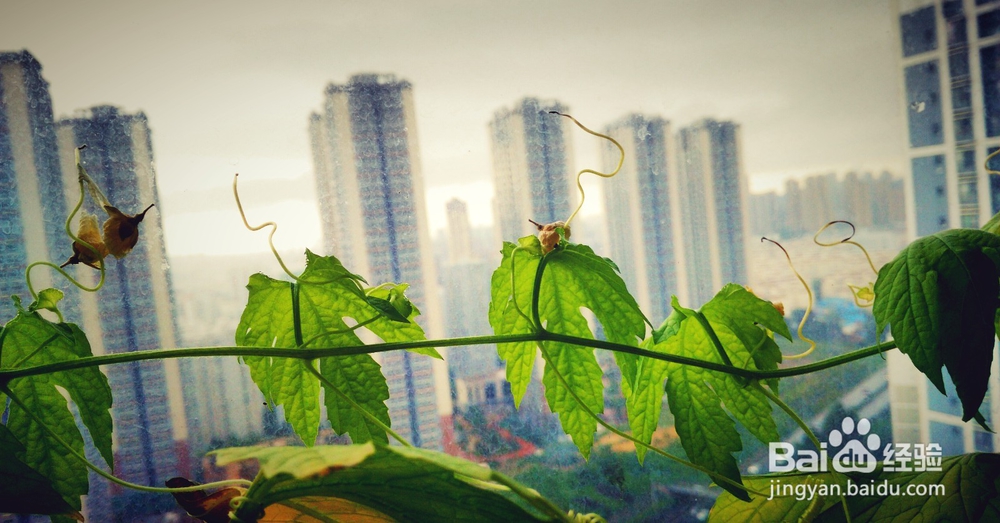 开启新生活之感慨分享