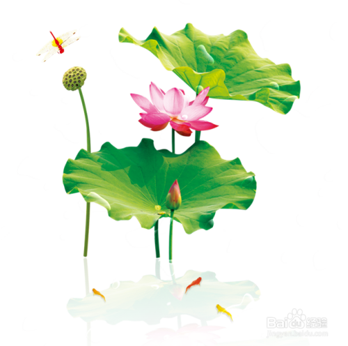 PS绘制水滴教程