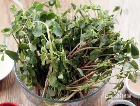 家庭自制凉拌马齿苋