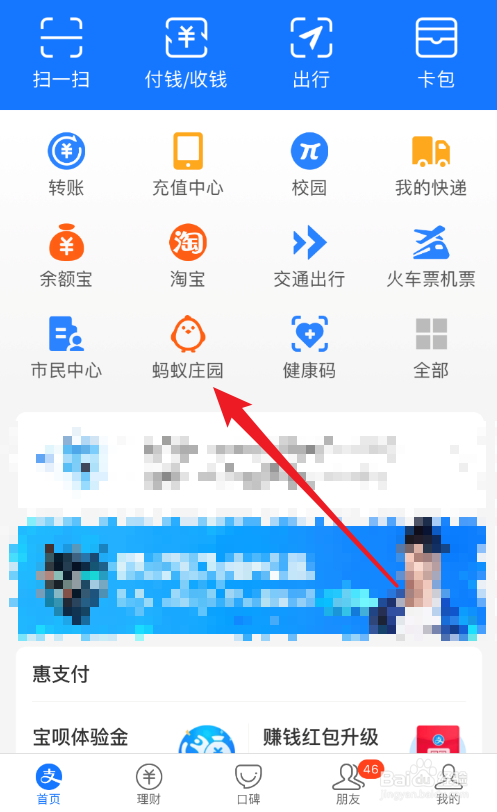 在哪可以查看到蚂蚁庄园的开发公司