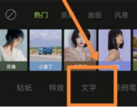 醒图怎样添加竖排文字