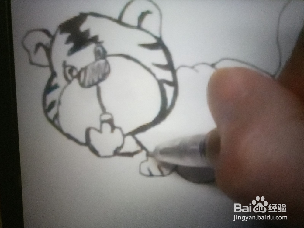 怎么画简笔画动物类之老虎