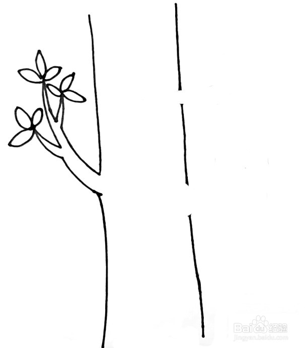 啄木鸟简笔画 分步画法