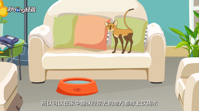 猫不爱喝水怎么办