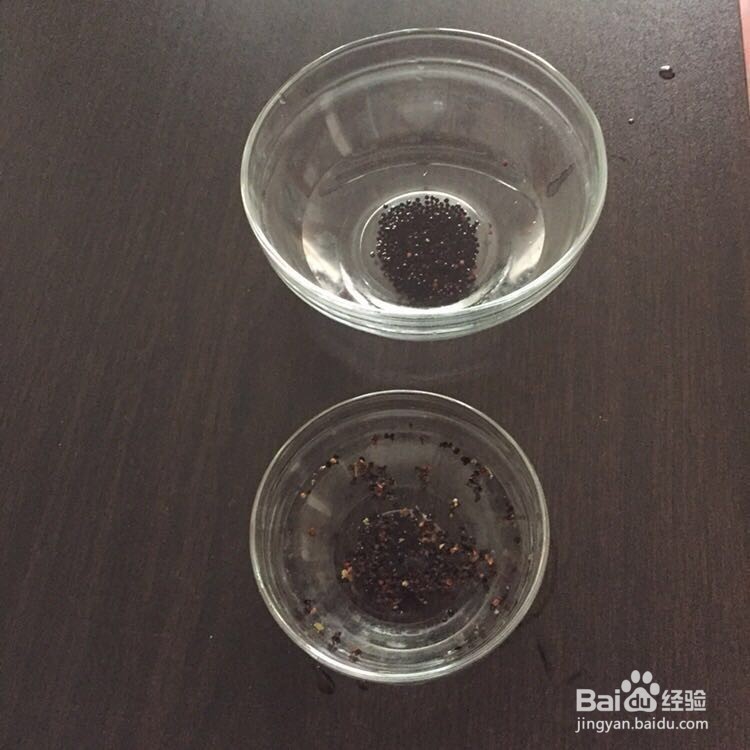 如何播种好康乃馨