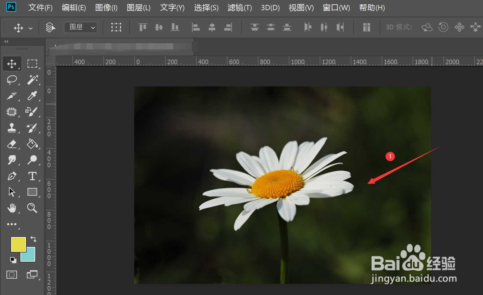 如何在ps中使用颜色替换工具