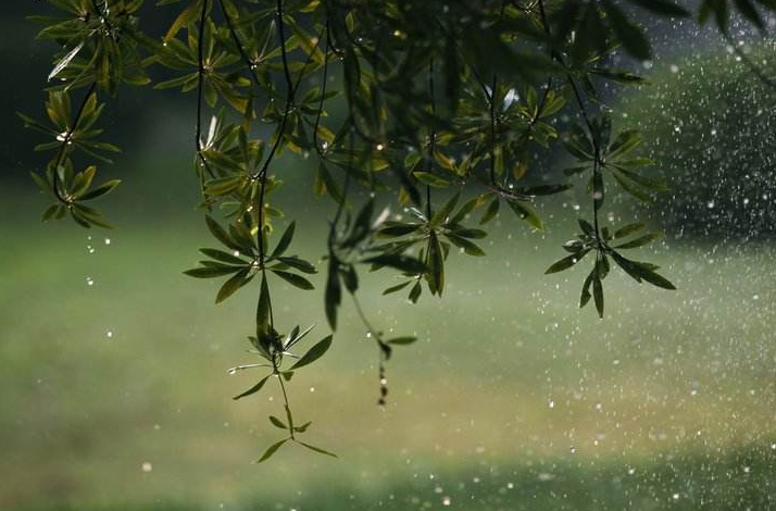 水,云,汽,雨,雪或冰雹应该怎样排序