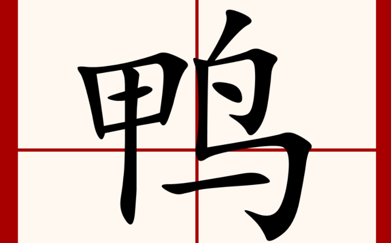 鸭的偏旁是鸟还是甲