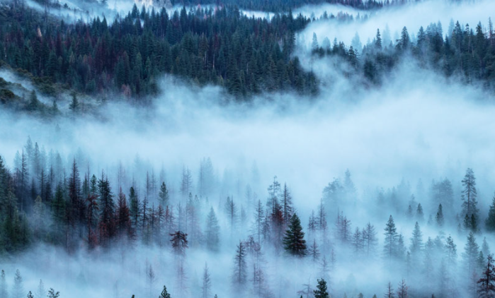 岫烟儿的解释是什么