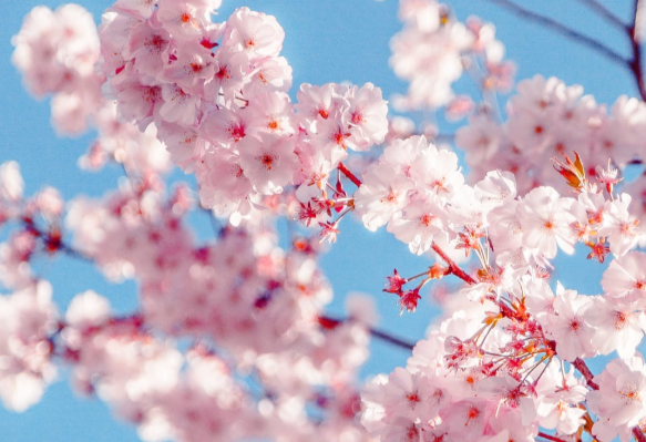 急人之所急需人之所需