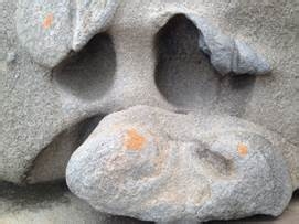 学院街攻略：[57]阿德雷德大学娱乐攻略