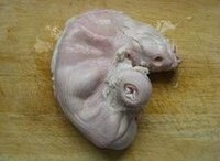 据说美白的滋阴养肾美容汤 猪肚鸡