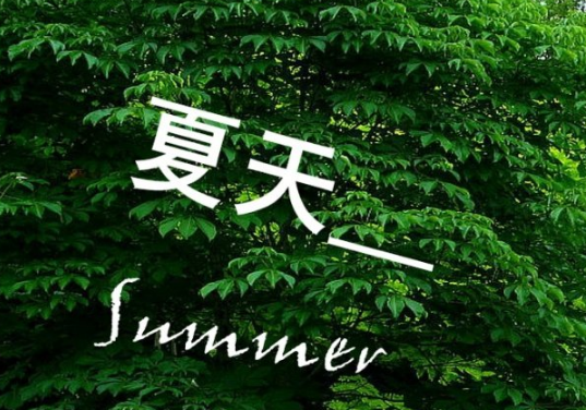 关于夏天的优美句子
