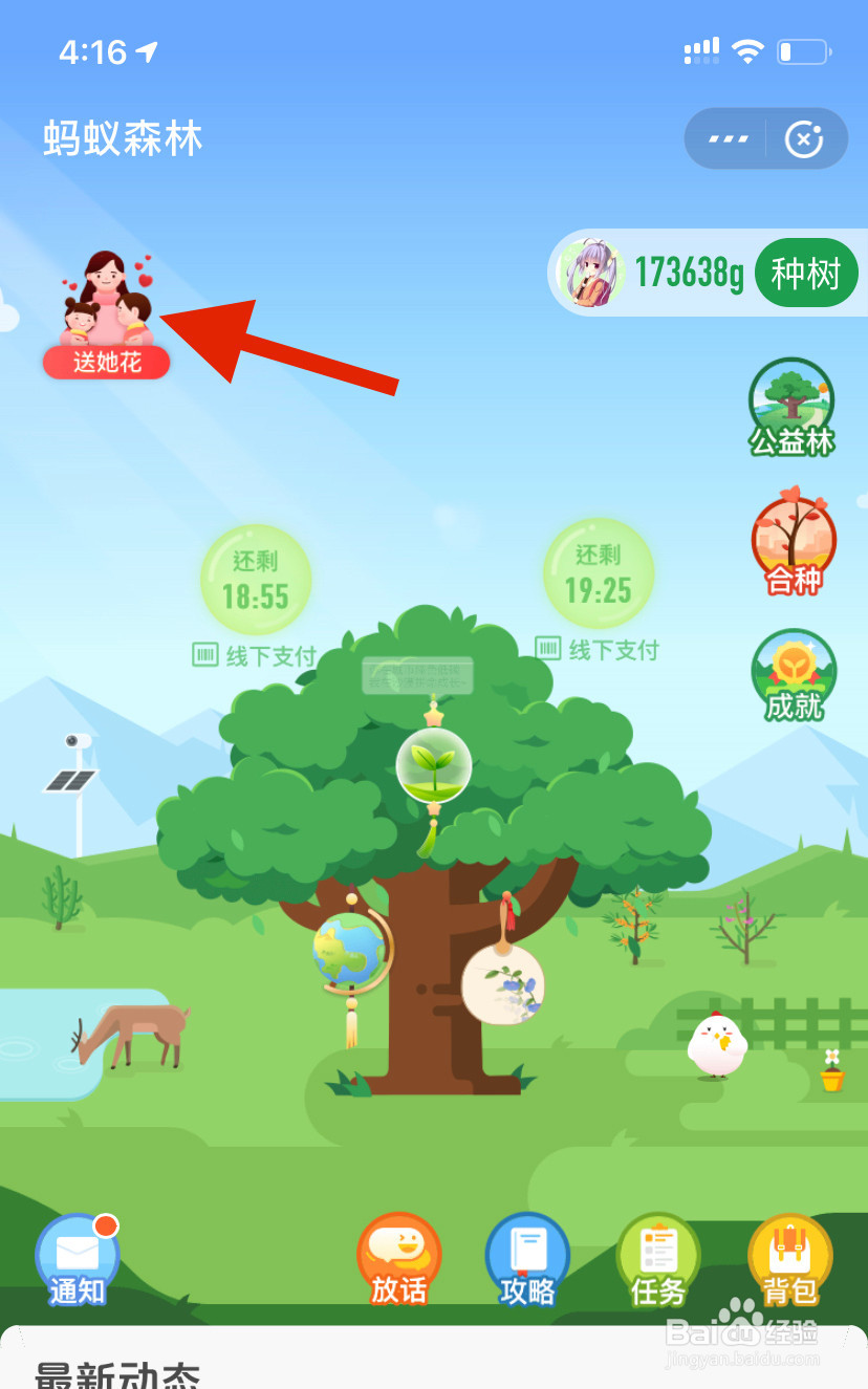 支付宝蚂蚁森林怎么送妈妈花？