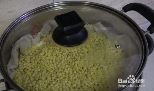 教你自制绿豆糕