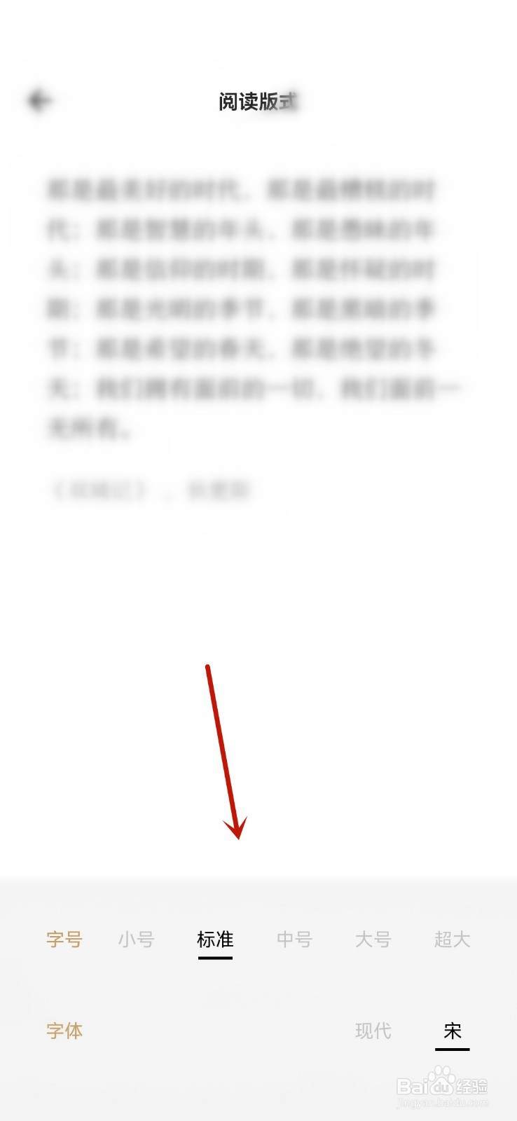 如何调整岛读软件的显示字号