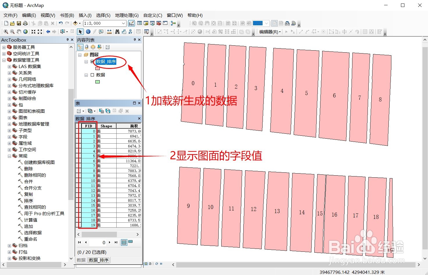 ArcGIS中图斑如何进行空间排序