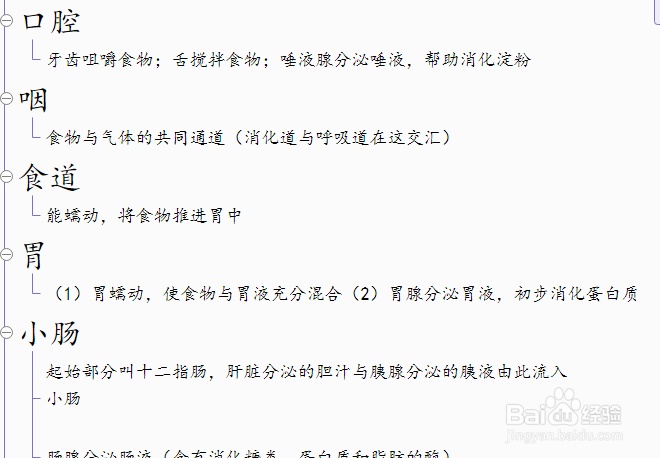 生物消化系统的组成思维导图怎样画