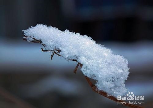 雪花怎么形容