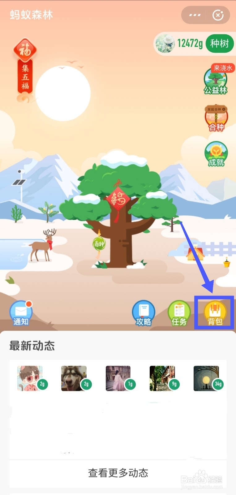 蚂蚁森林鼠年福气装扮福字挂件如何获得