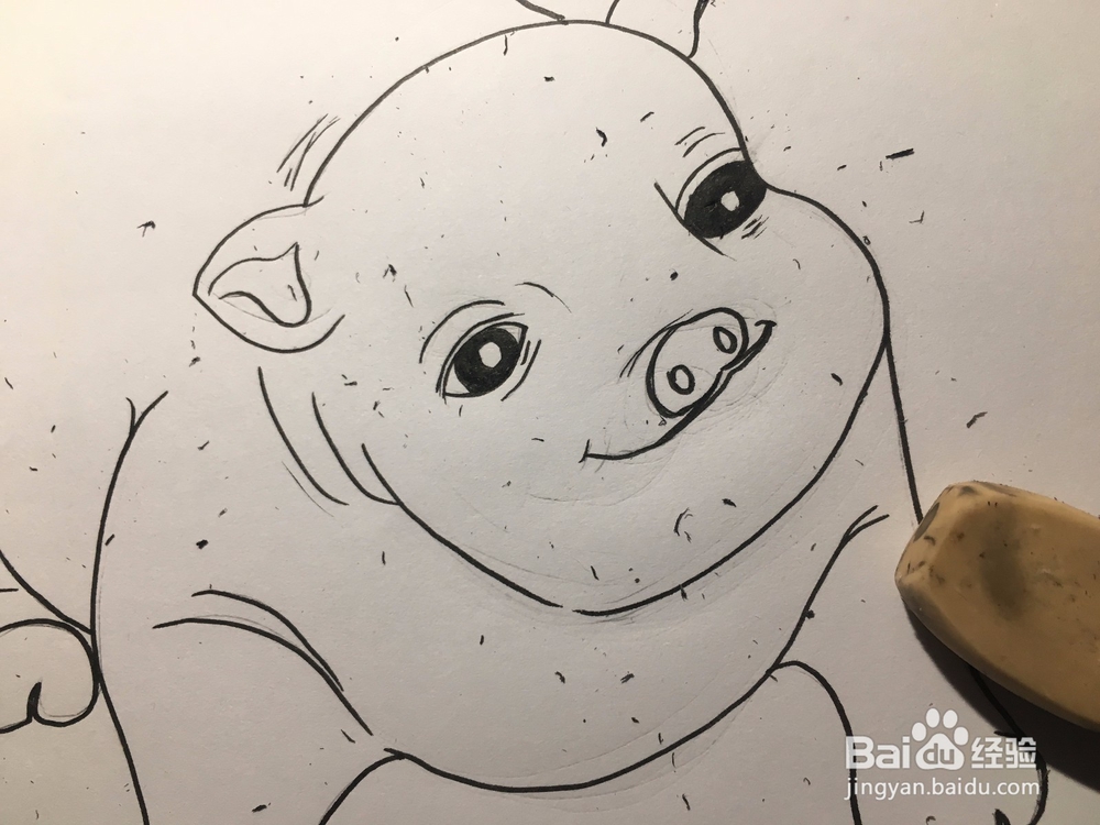 教你画一只萌萌的肥猪 猪年简笔画猪