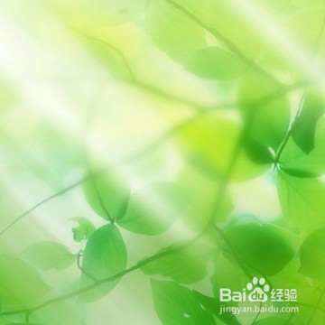 做一个主见与随和两相宜的人