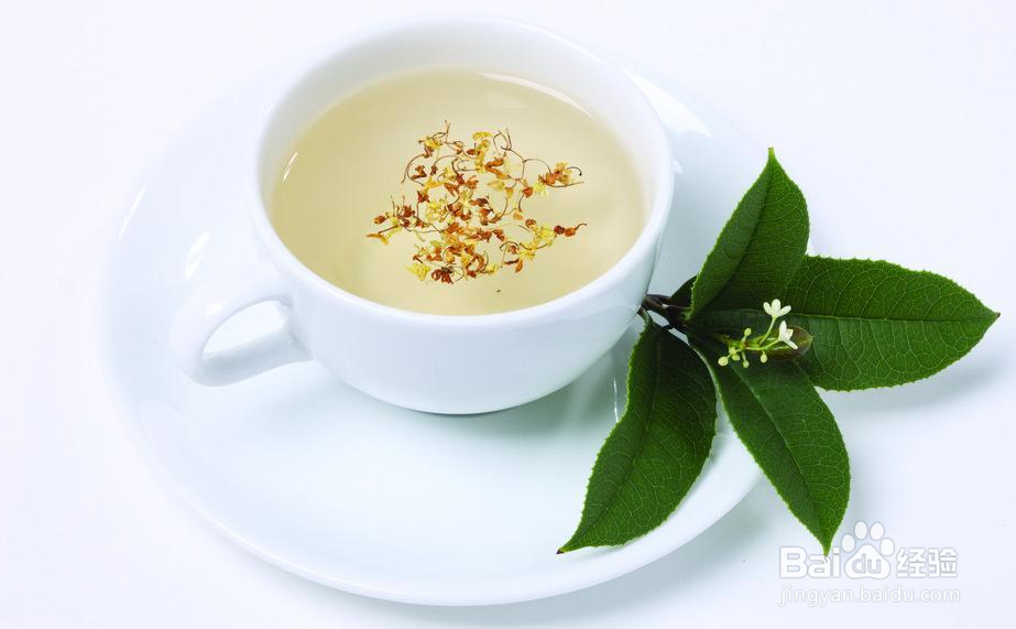 胃不好，喝什么茶养胃！