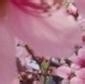 家有主妇妙招无穷51