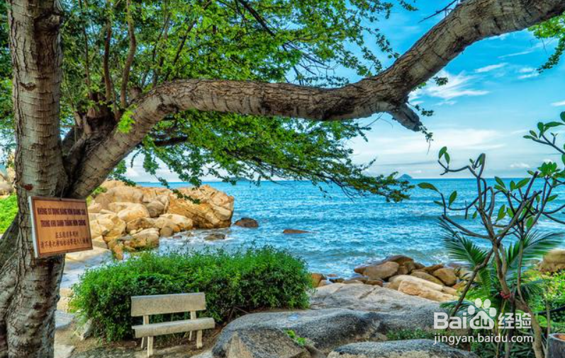 别再等等了，这个冬天，带上家人去旅行吧