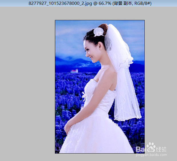 怎么将自己的照片变为个性手机壁纸