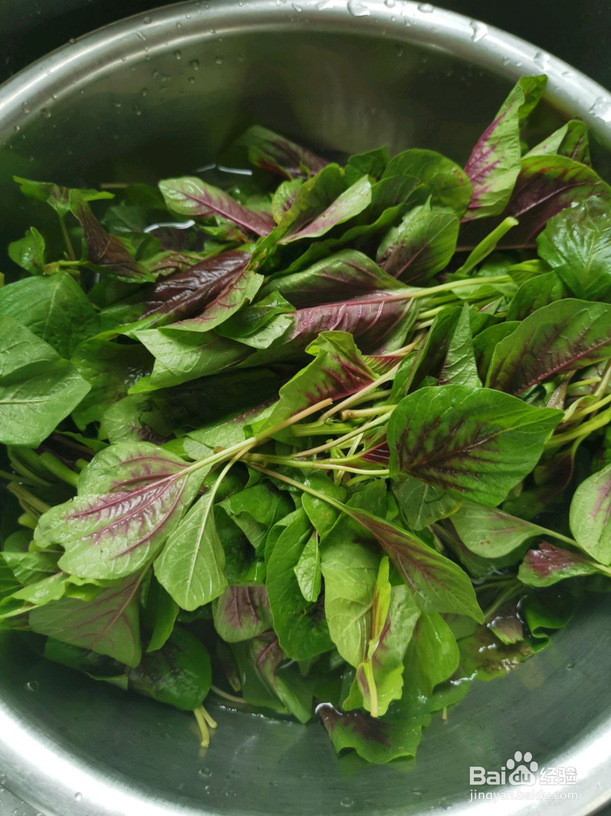 蒜蓉苋菜的做法