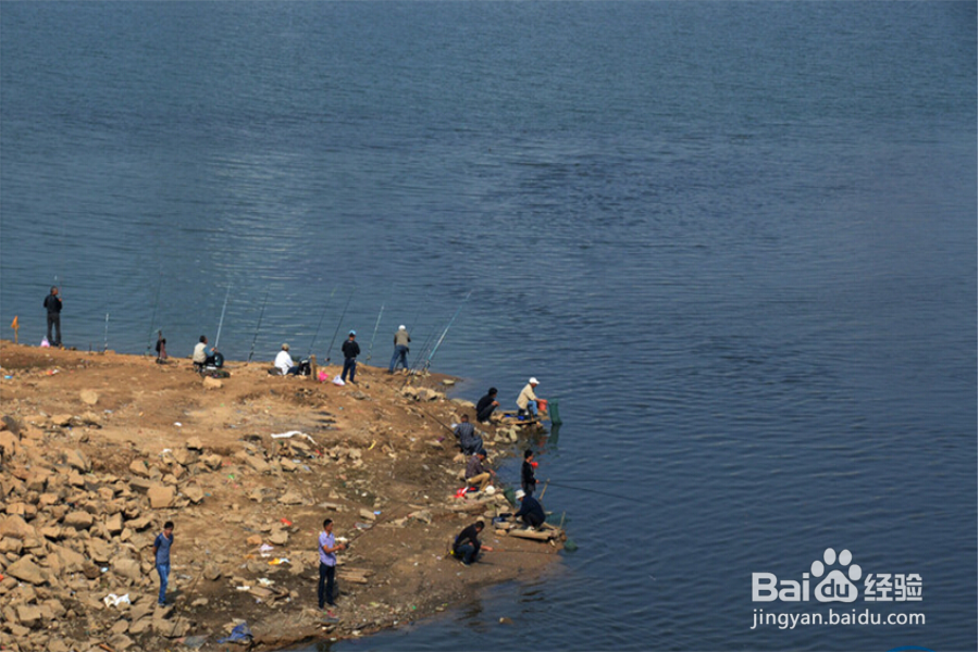 钓鱼需要注意什么
