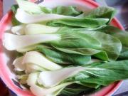 【闽菜】--香菇青菜