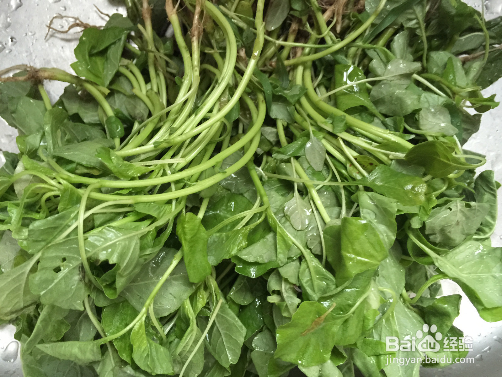 本周时令菜快手笋干苋菜的做法