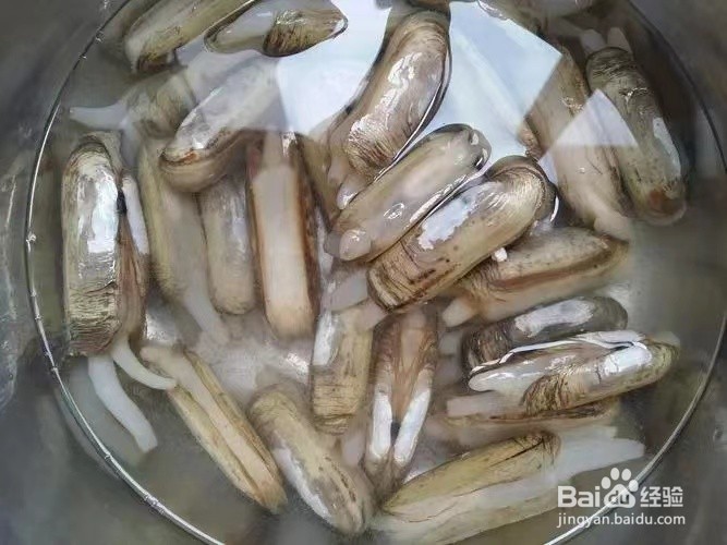 凉拌凉拌小海鲜