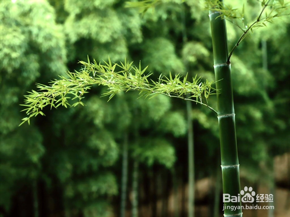 怎么判断是不是喜欢一个人?