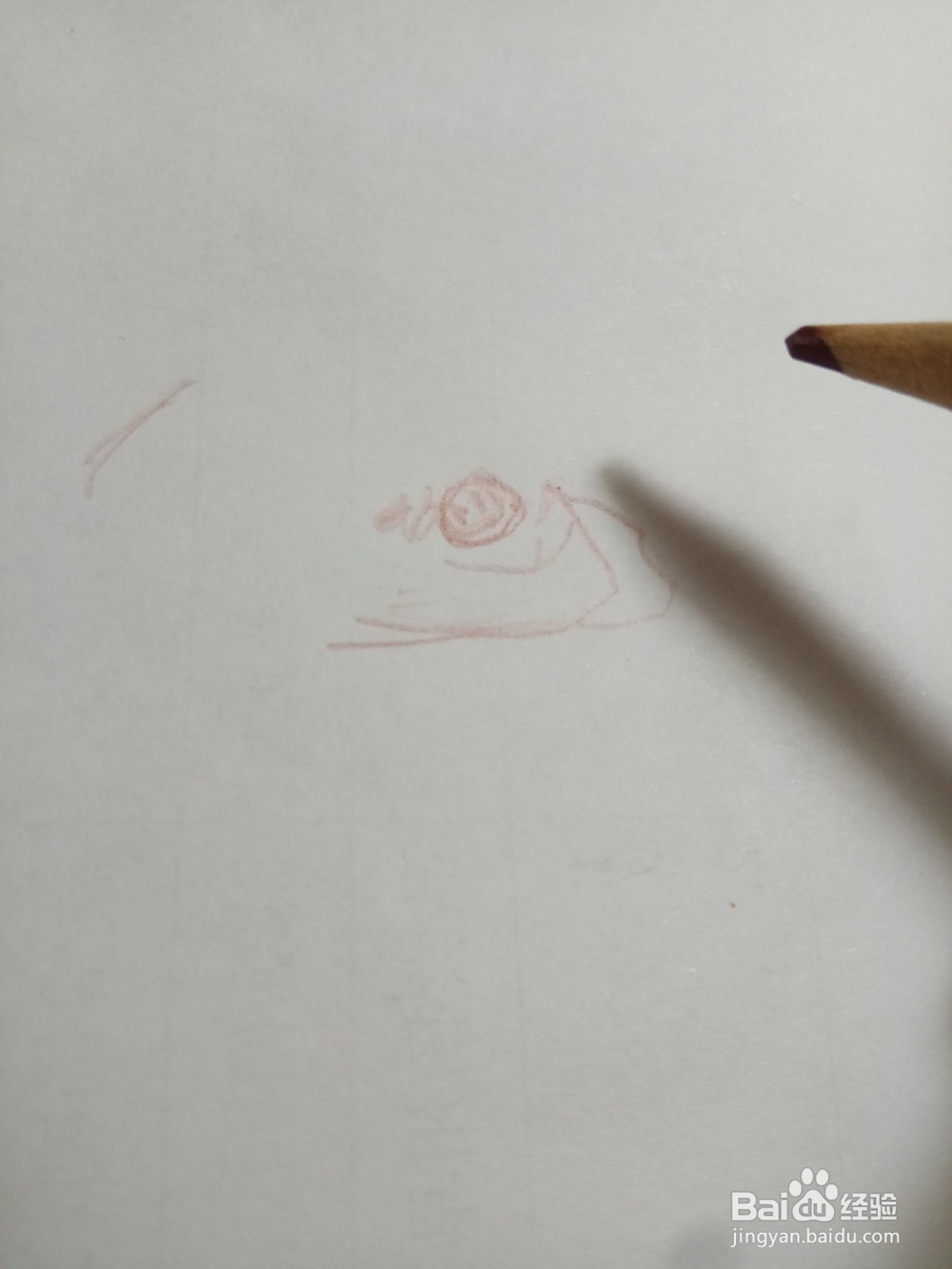 简笔鳜鱼画法